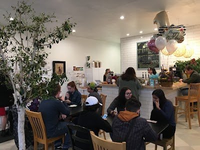 Play cafe in Salt Lake City Tinkers Cat Cafe 1